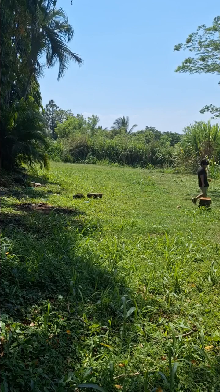 Original footage from Santiago's KM51 land project